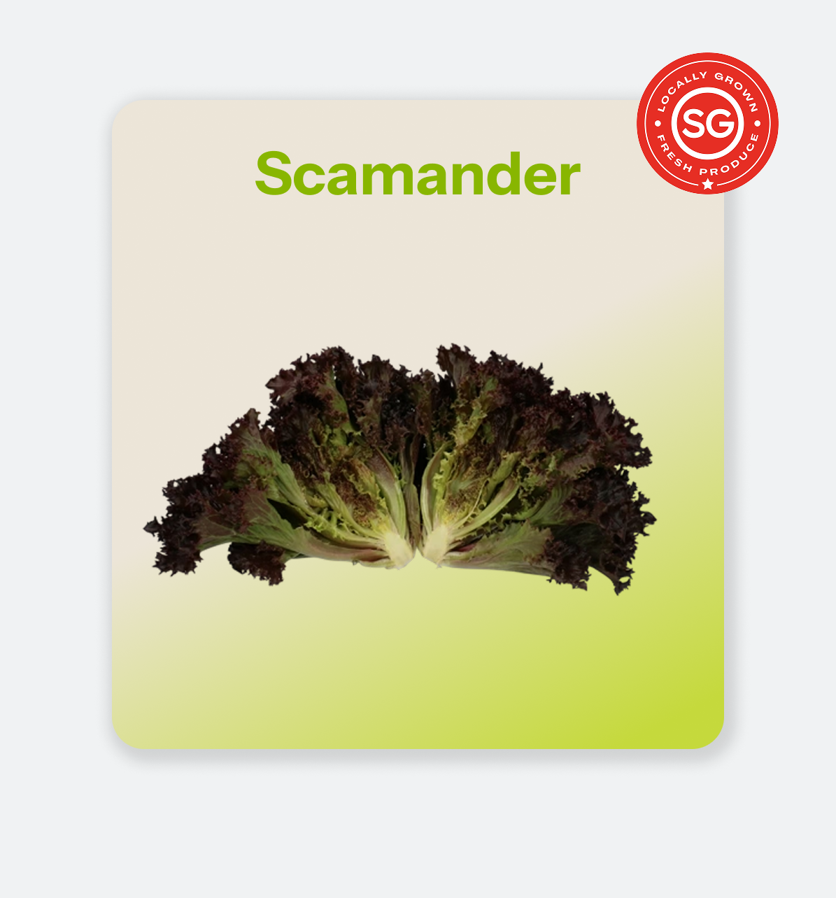 Scamander