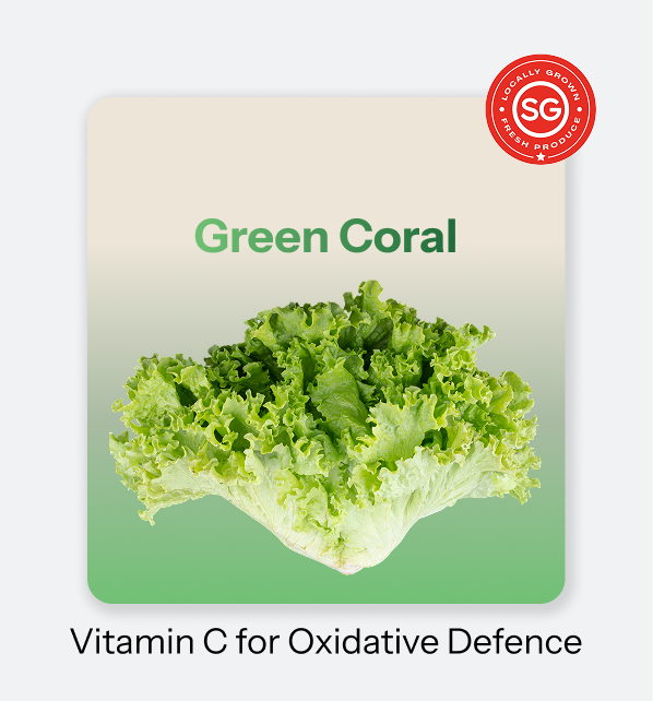 Zen_Leaf-_Green_Coral