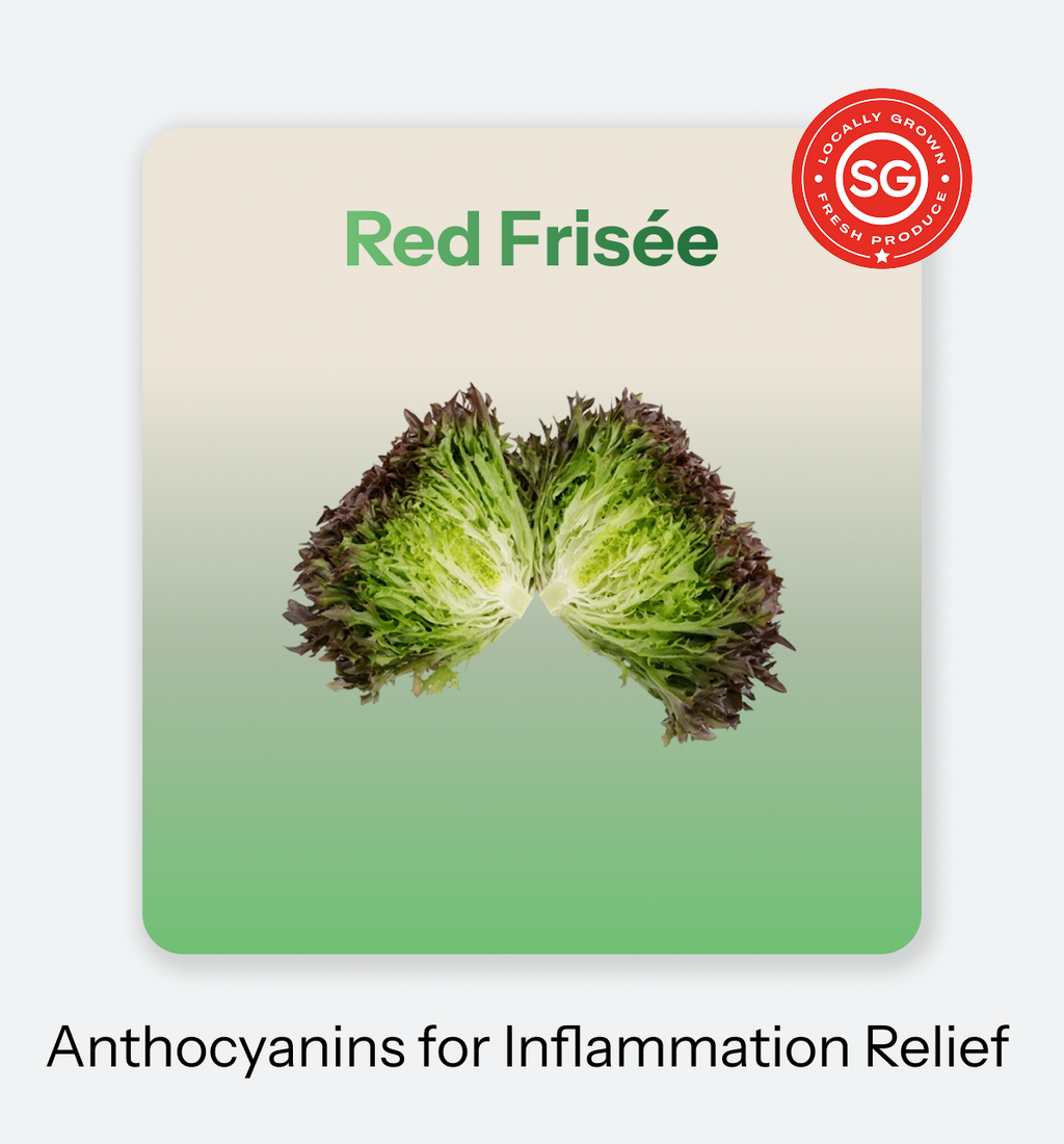 Zen_Leaf-_Red_Frisee_2