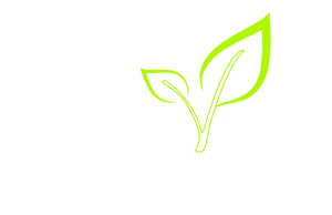Aeroveg